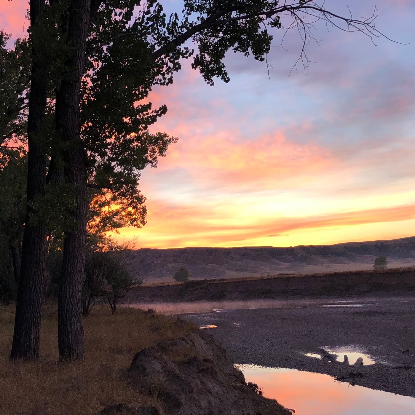 Sunset over the Yellowstone River with trees in the foreground
