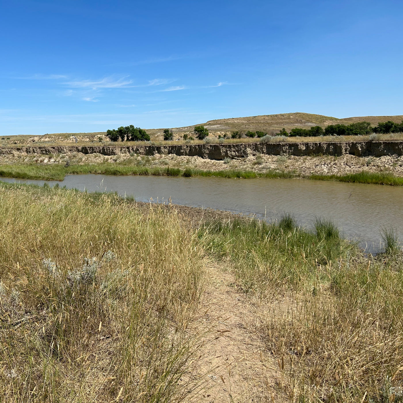 Path leading to Yellowstone River with hills and blue sky in the background
