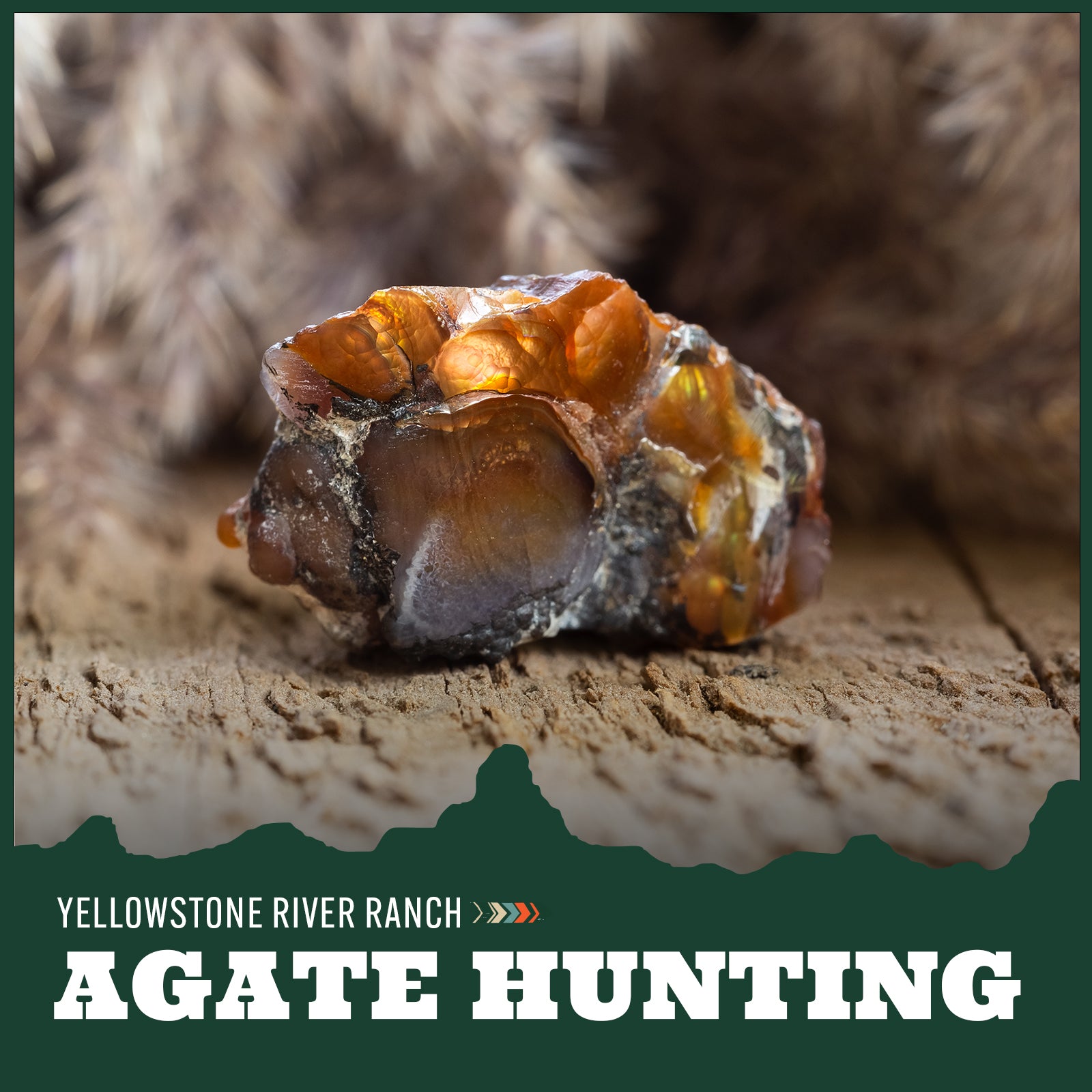 Close-up of an agate stone with a blurred background with text overlay 'agate hunting'