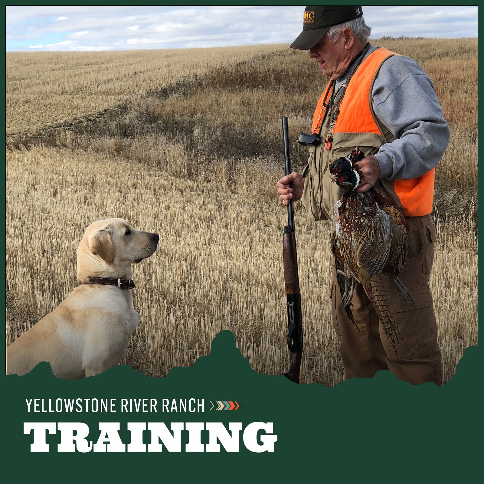 Hunter in orange vest with dog and pheasant in a field