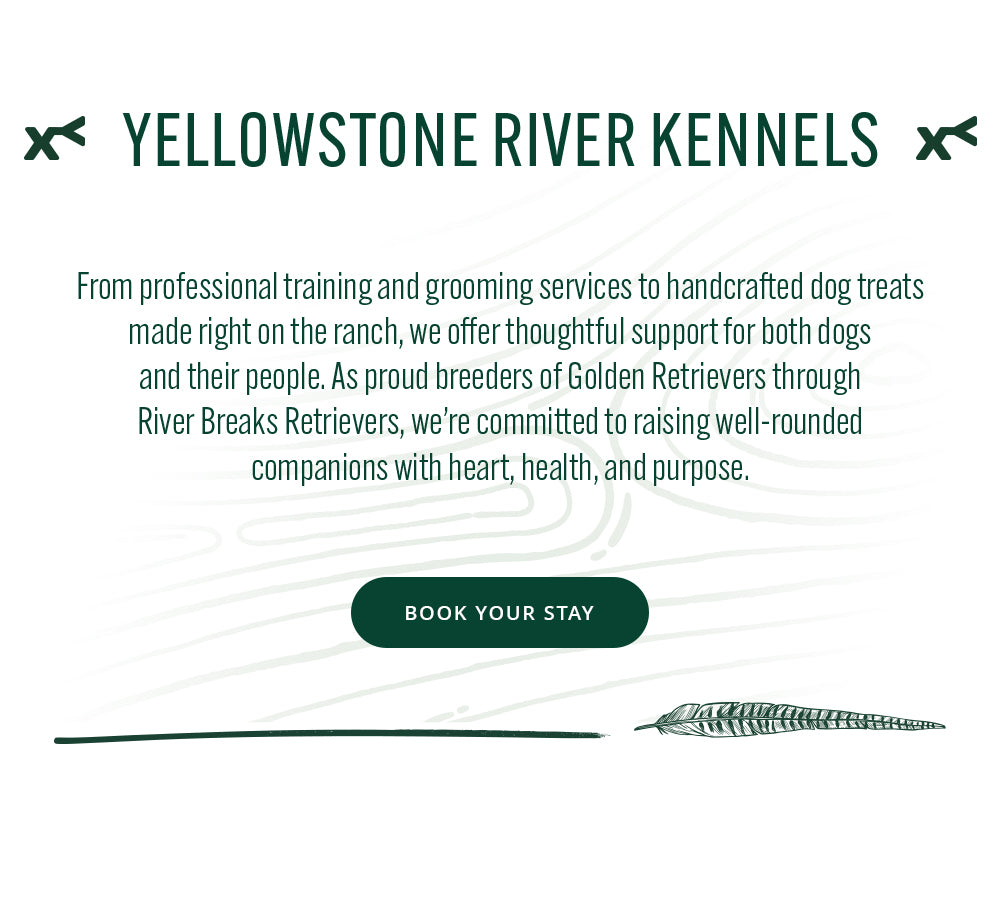 Promotional text for Yellowstone River Kennels.