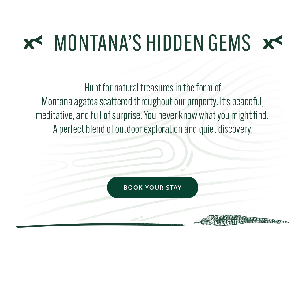 Promotional text for Montana's Hidden Gems with a call to action button on a white background.
