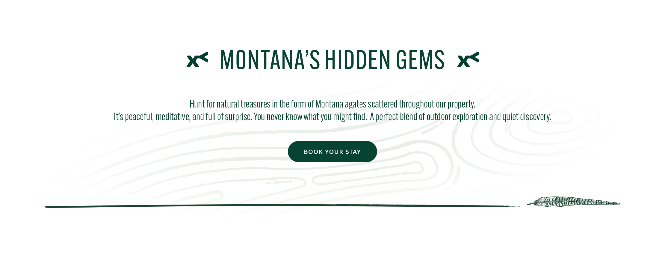 text 'Montana's Hidden Gems' with a call to action on a white background.