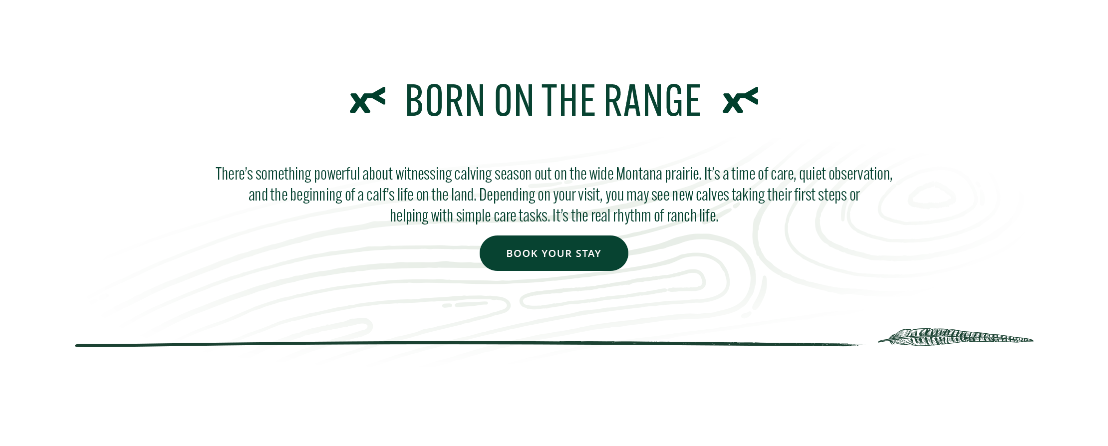 Text 'Born on the Range' on a white background with green accents