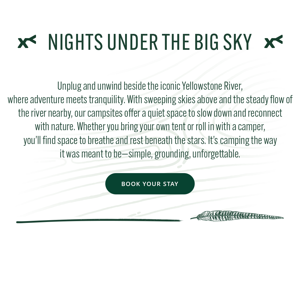 'Nights under the big sky' text for camping under the Yellowstone River with a 'Book Your Stay' button.