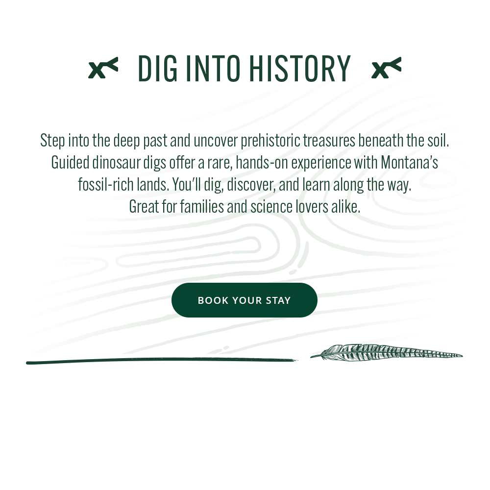 Promotional text for guided dinosaur digs with Montana's fossil-rich lands, featuring a 'Book Your Stay' button.
