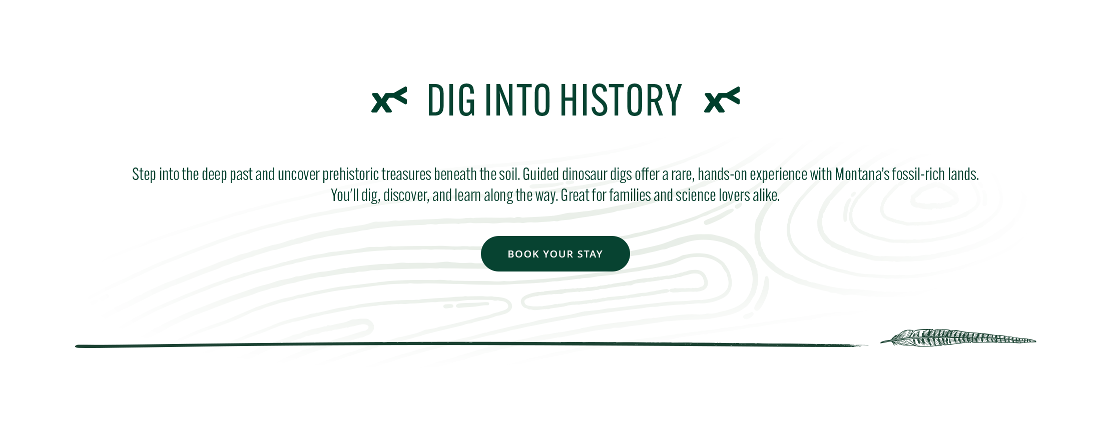 banner for a prehistoric fossil dig experience with text and a button on a white background.