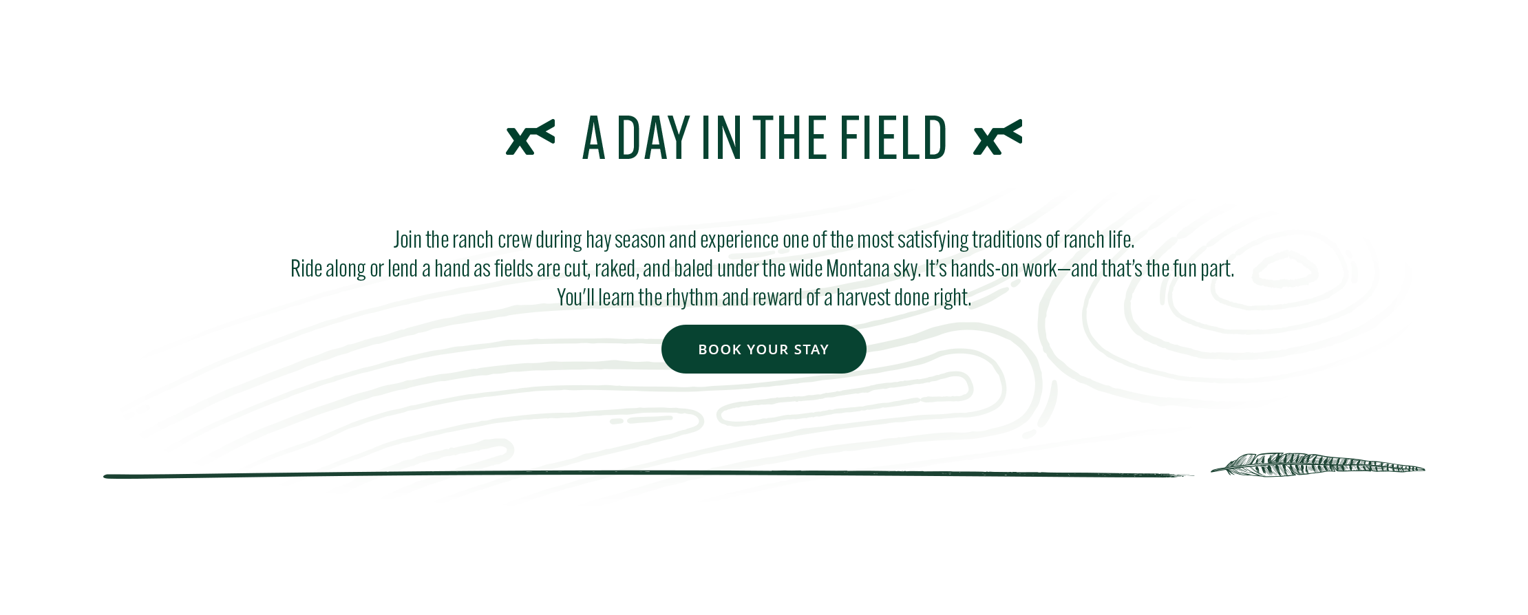 text 'a day in the field'