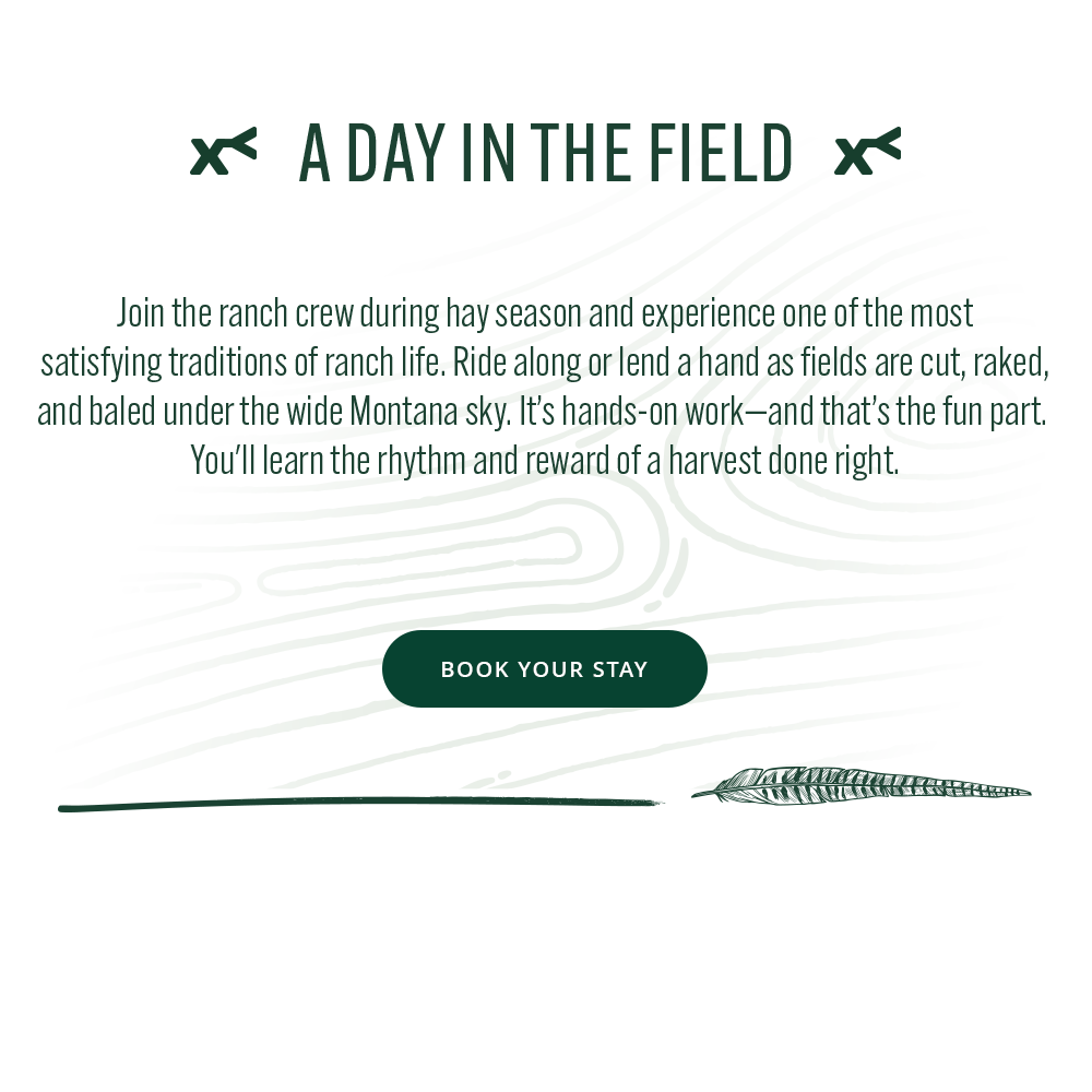 text 'a day in the field'