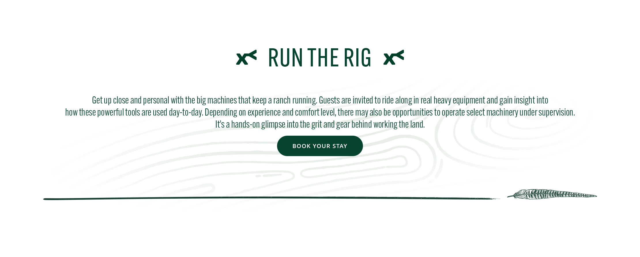 Text on a white background with green text "Run the Rig".