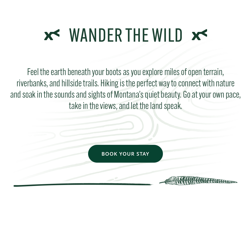 Promotional graphic for hiking in Montana with text and a 'Book Your Stay' button.