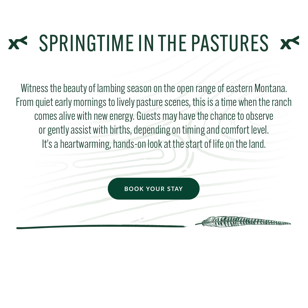 text 'springtime in the pastures'