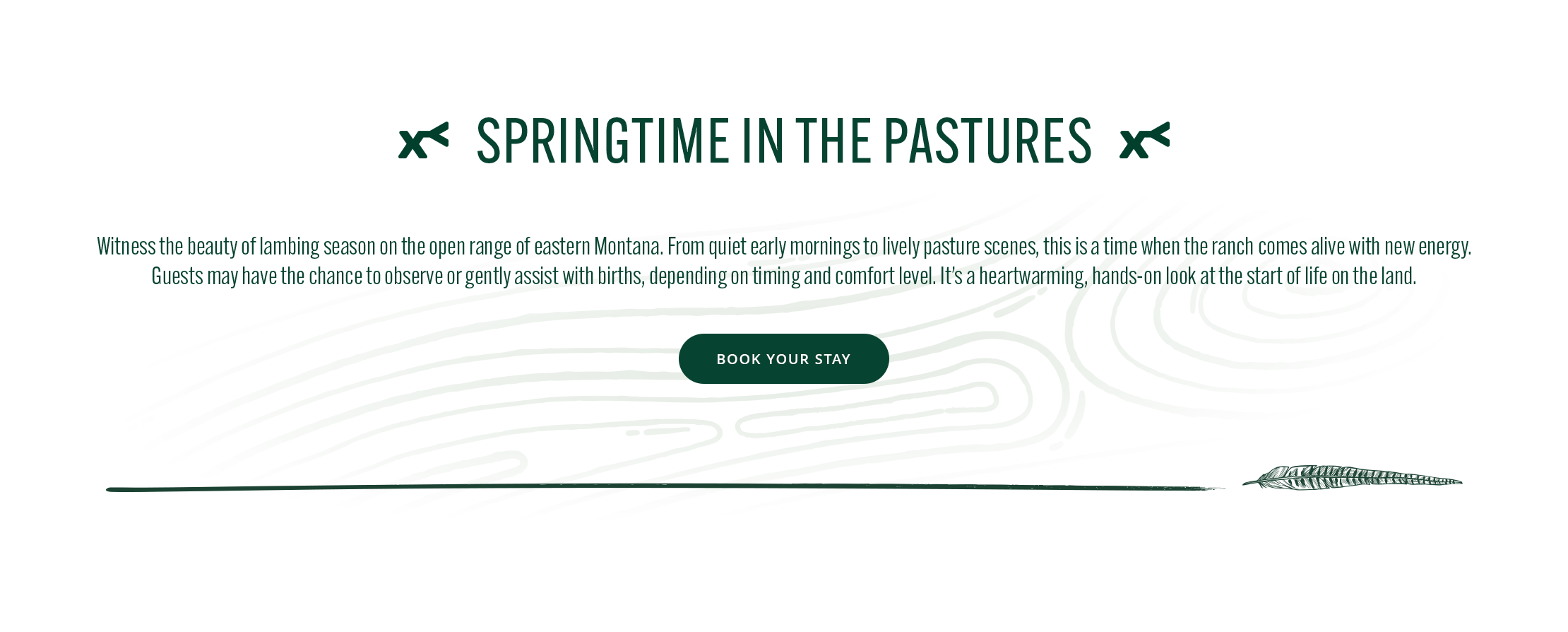 text 'Springtime in the Pastures' with a green button and brand logo.