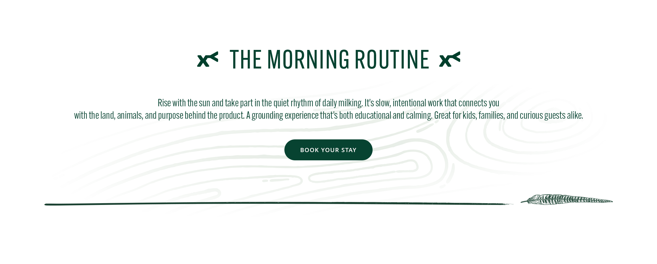 Text about the morning routine with a green button on a white background