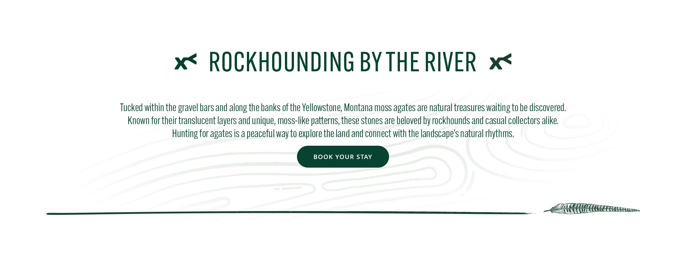 Text about rockhounding by the river with a green button on a white background