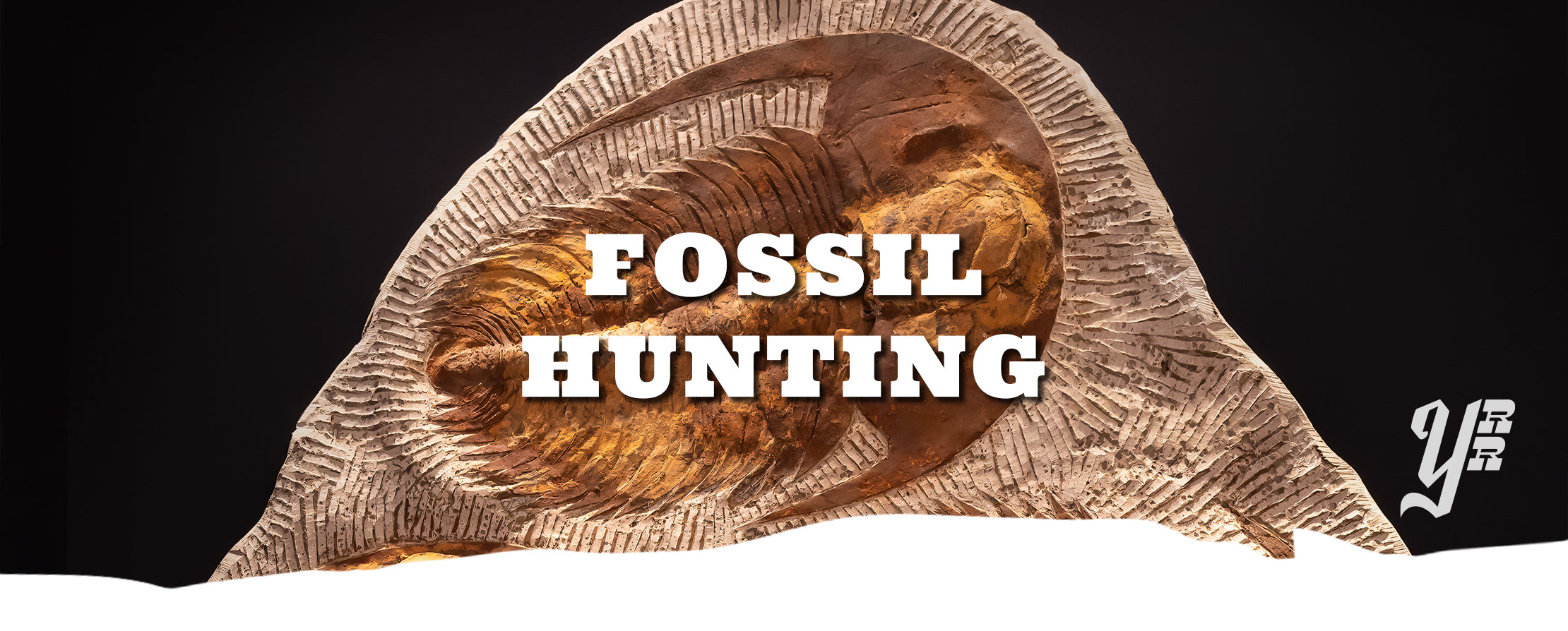 Fossilized trilobite with 'Fossil Hunting' text overlay.