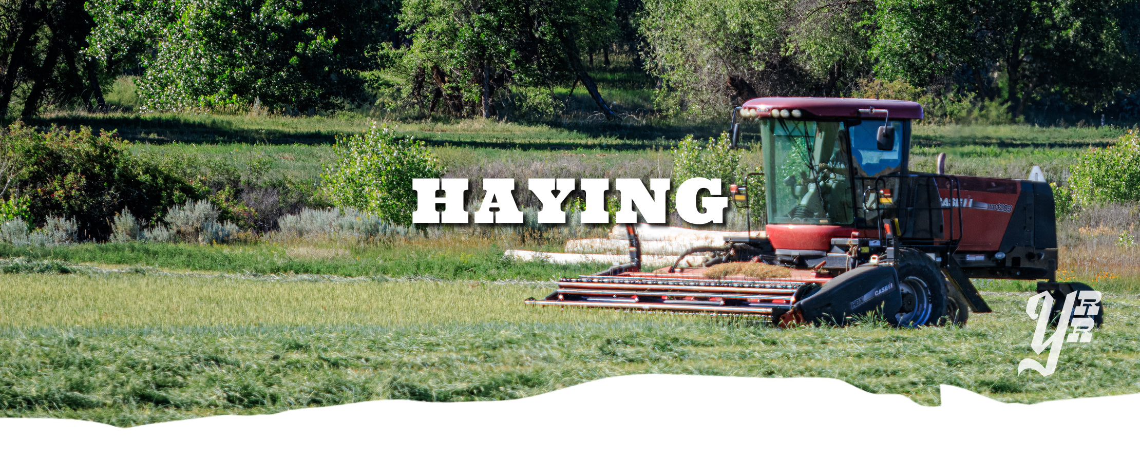 Tractor in a field with 'HAYING' text overlay