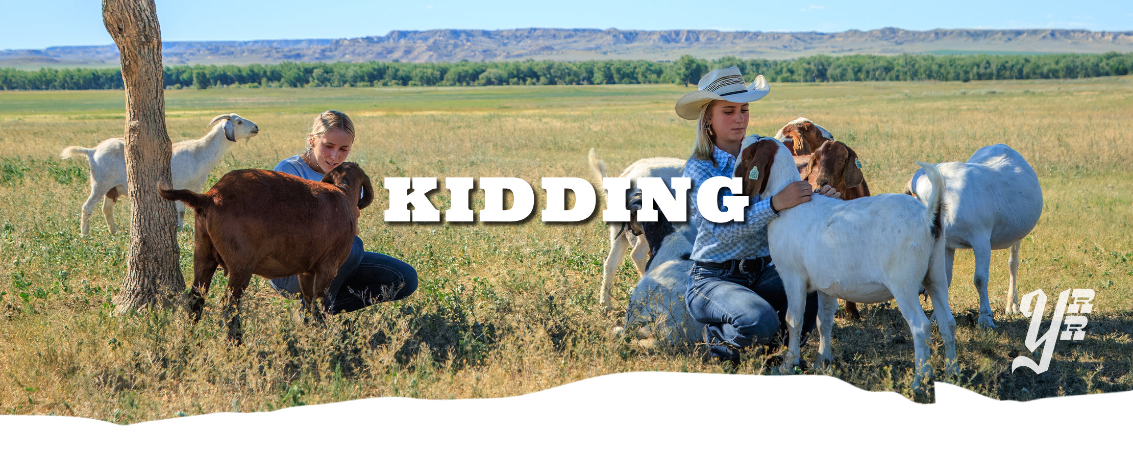 Two people tending to goats in a field with 'Kidding' text overlay.