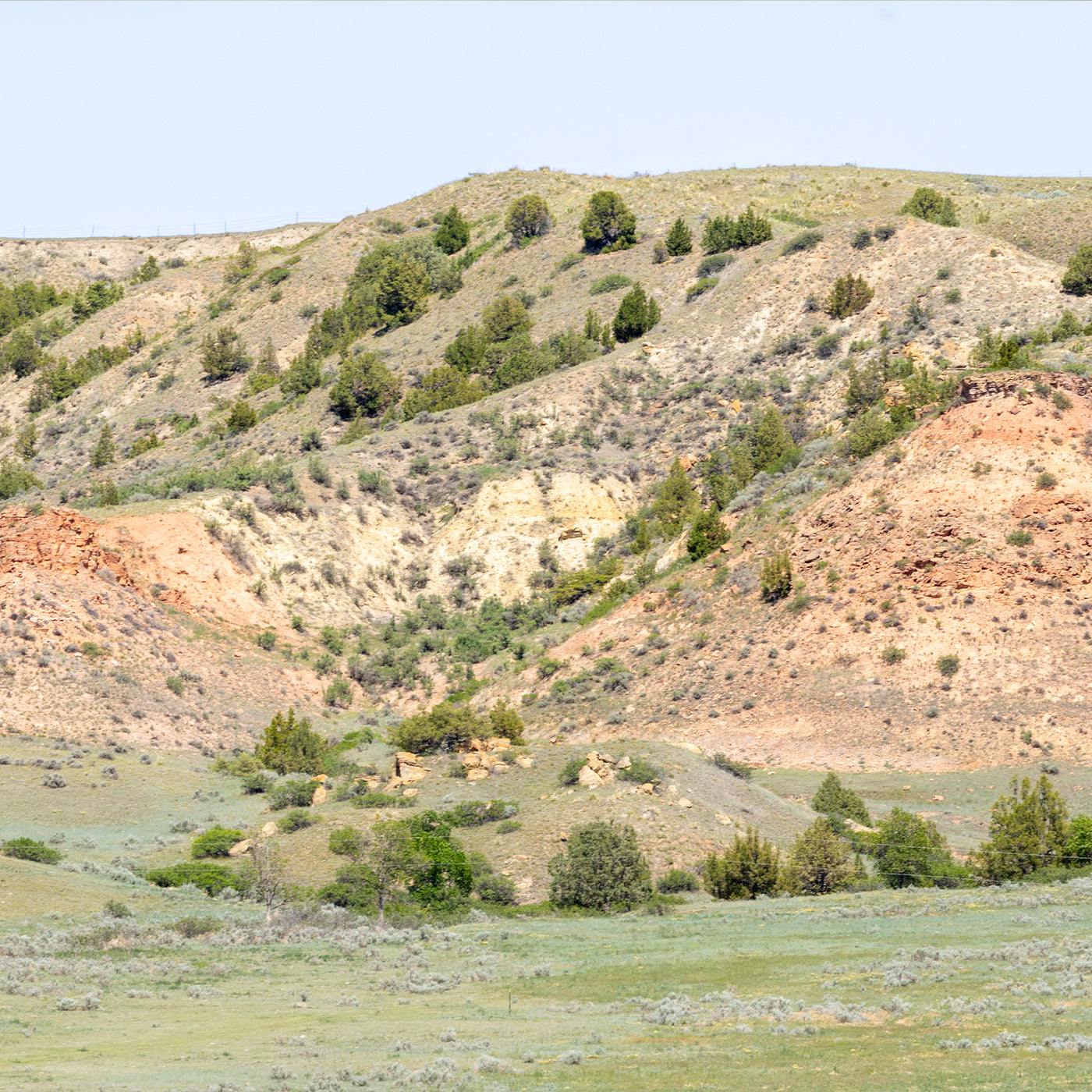 Scenic view of a hilly landscape with greenery and a clear sky in eastern Montana