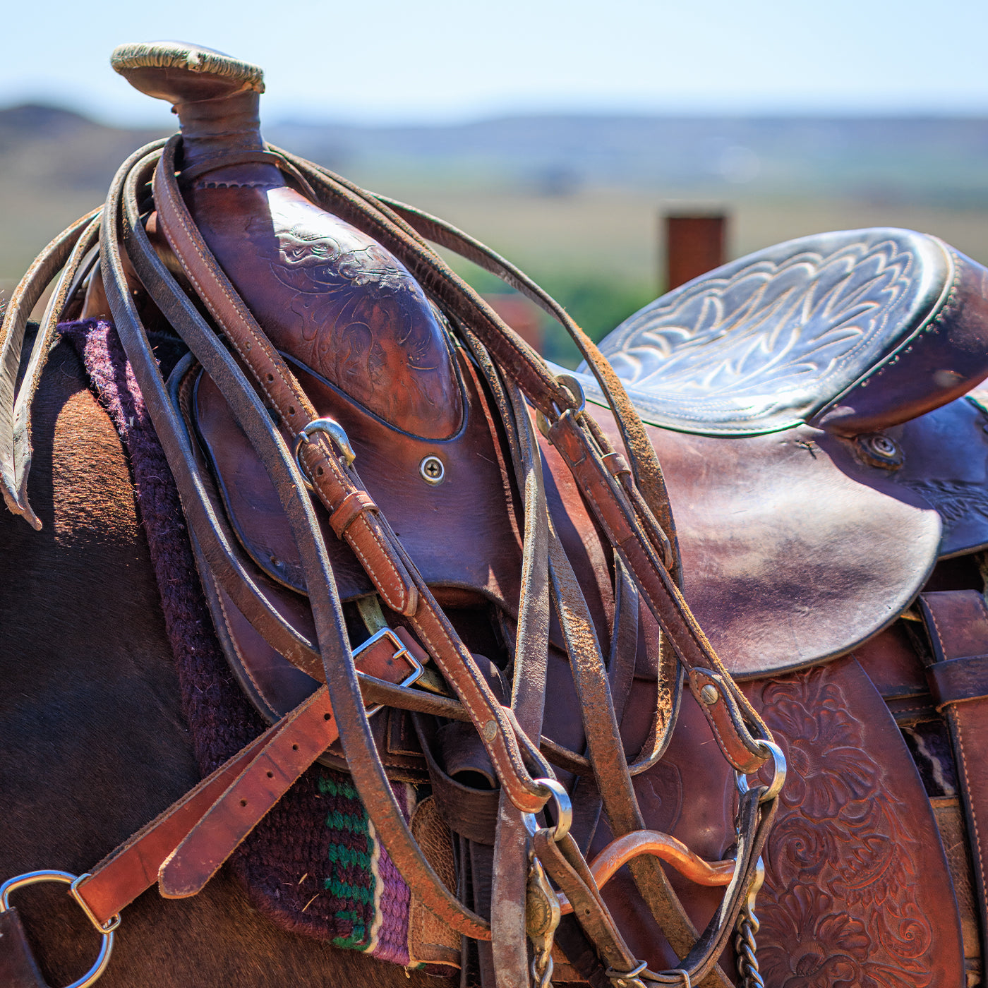 Brown leather saddle with intricate designs on a horse, set against a blurred natural background in Montana.