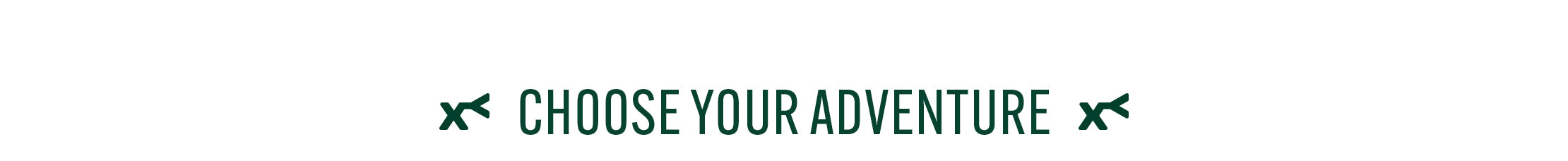 Text 'CHOOSE YOUR ADVENTURE' with decorative elements on a white background