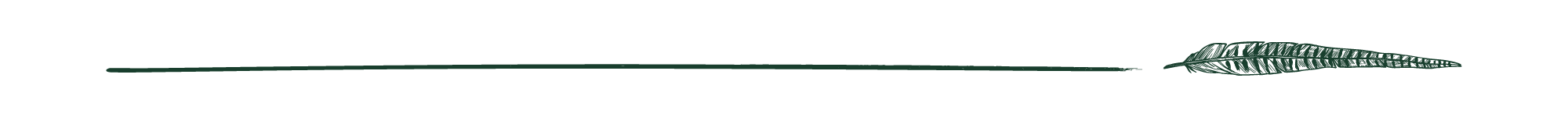 green line with pheasant feather