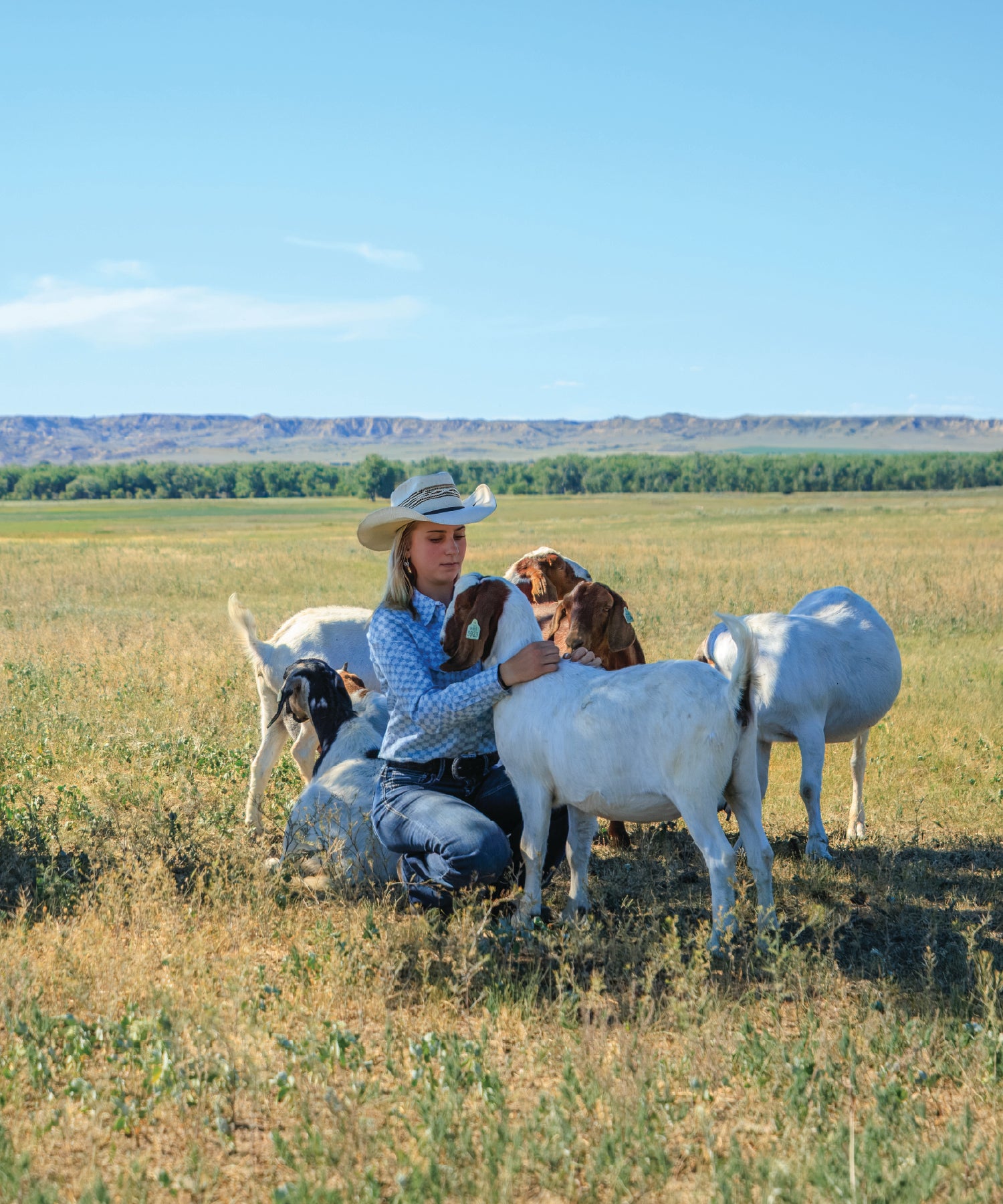 Person in a cowboy hat with goats in a grassy field