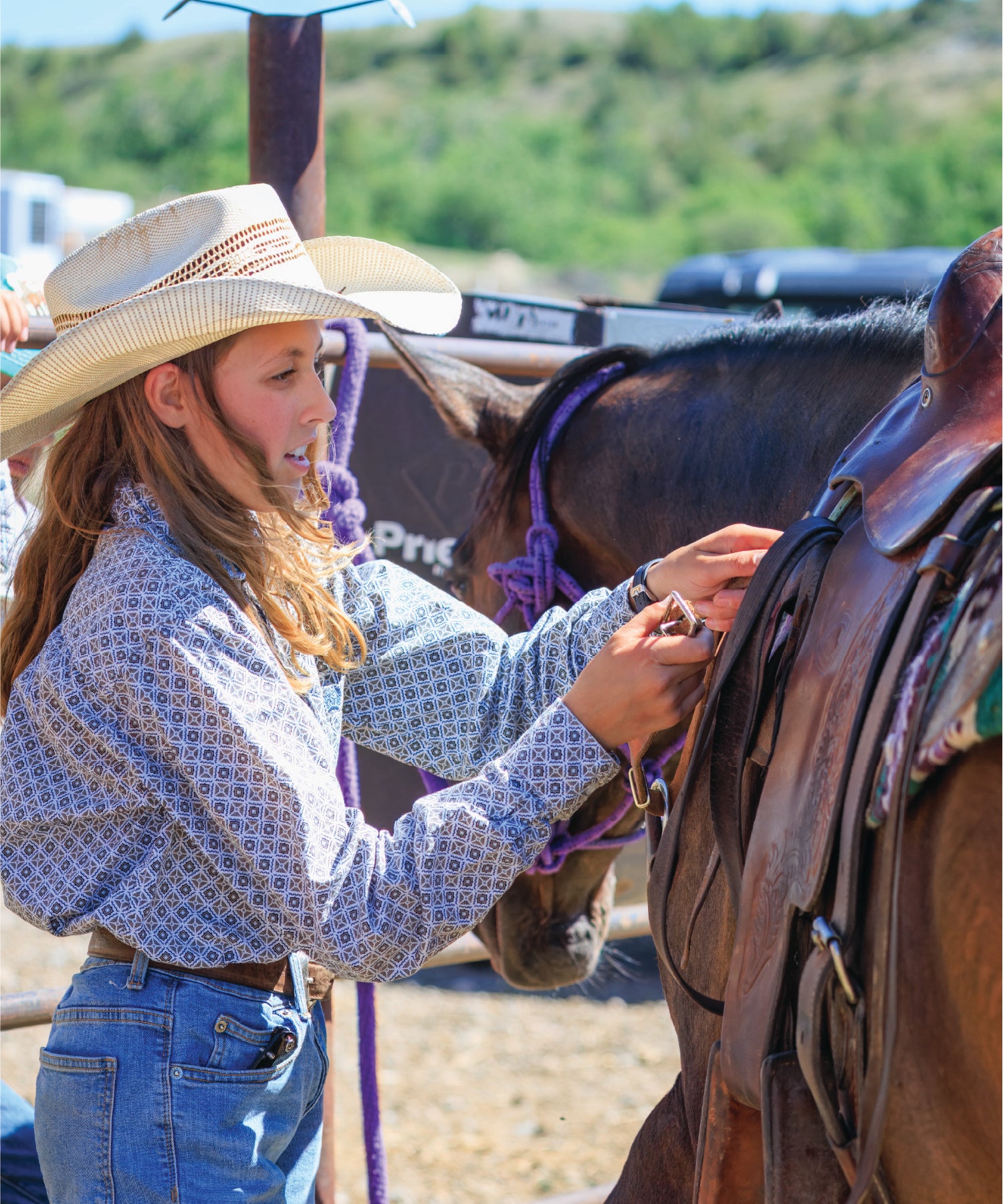 Person adjusting a horse's bridle with a scenic background