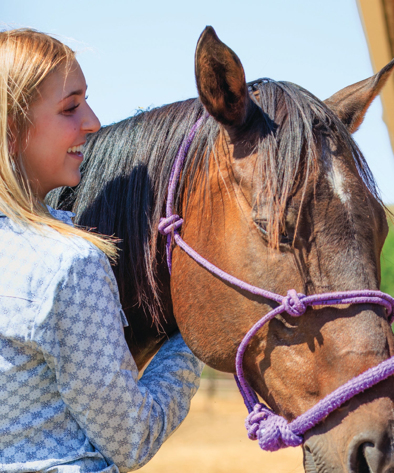 Woman petting a horse with a purple bridle against a clear sky.in Montana