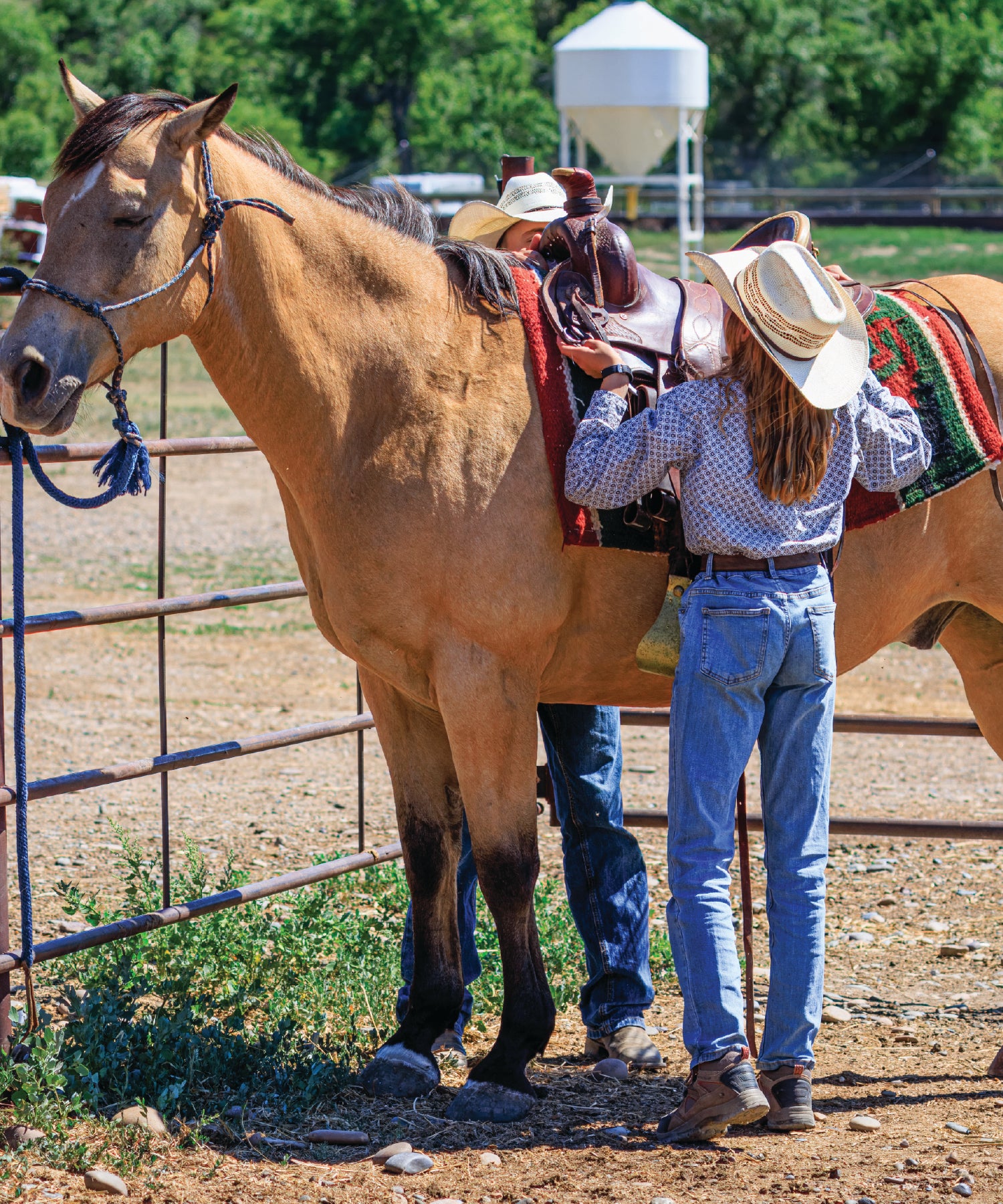 Person adjusting a saddle on a brown horse at Yellowstone River Ranch