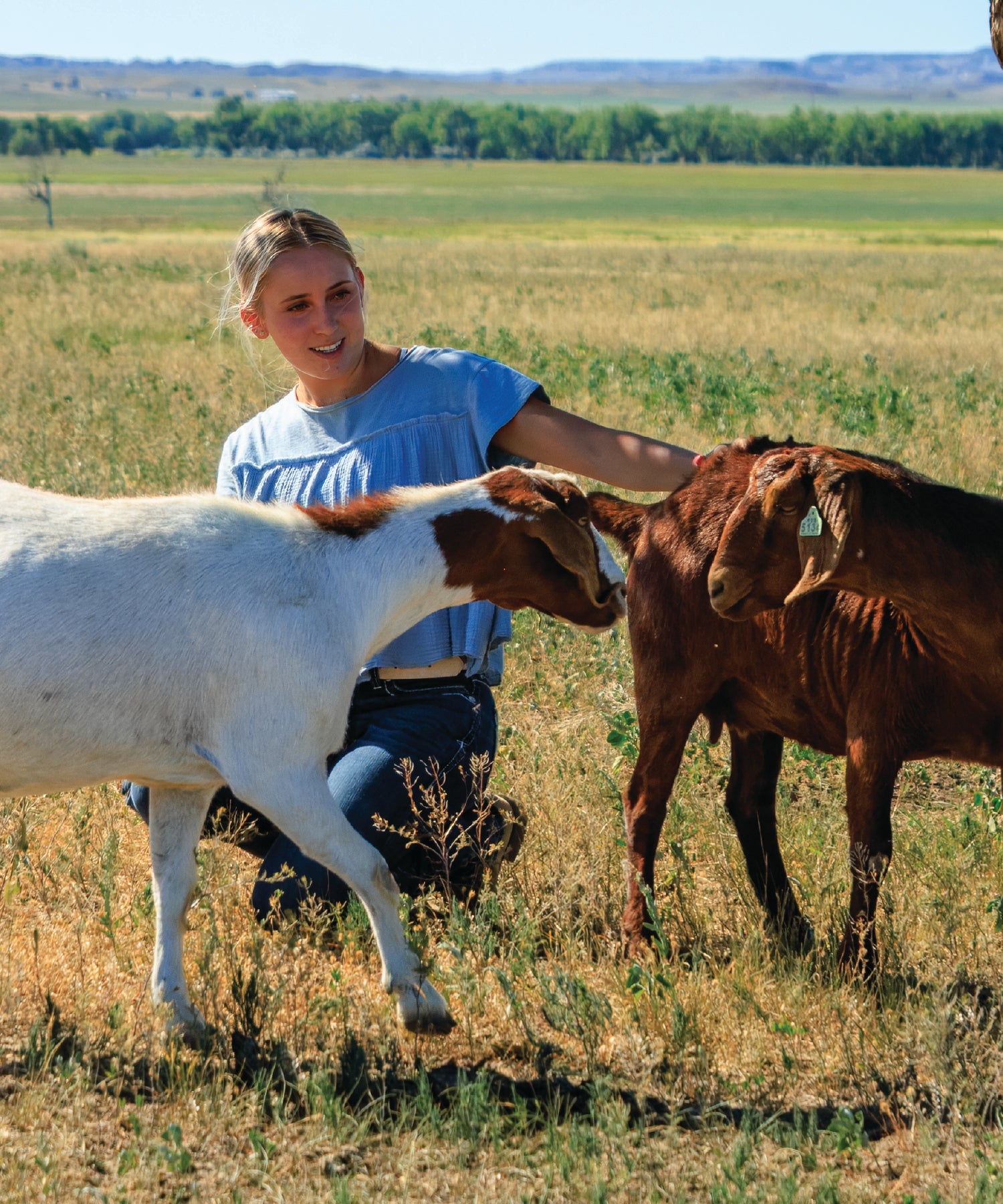 Woman interacting with two goats in a grassy field