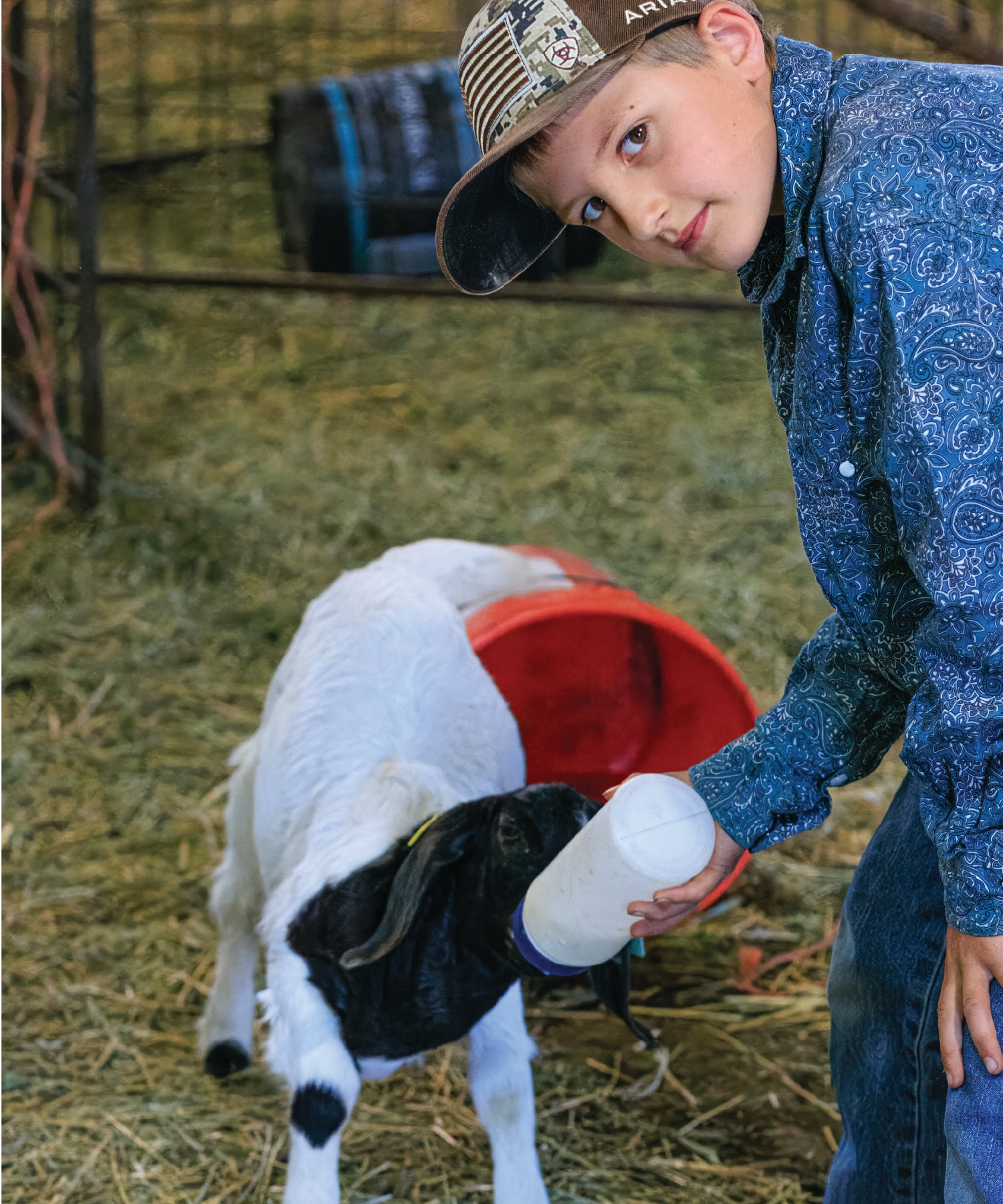 Child feeding a goat from a bottle in a barn