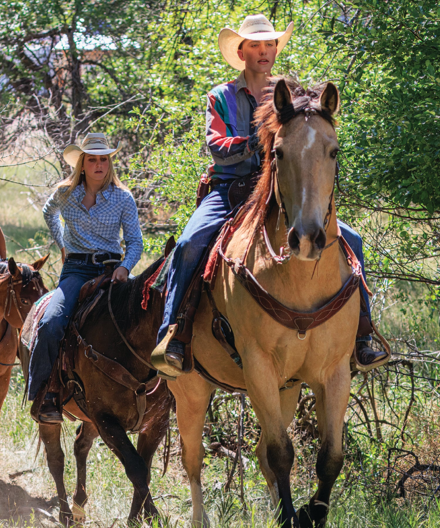 Two people riding horses in a forested area