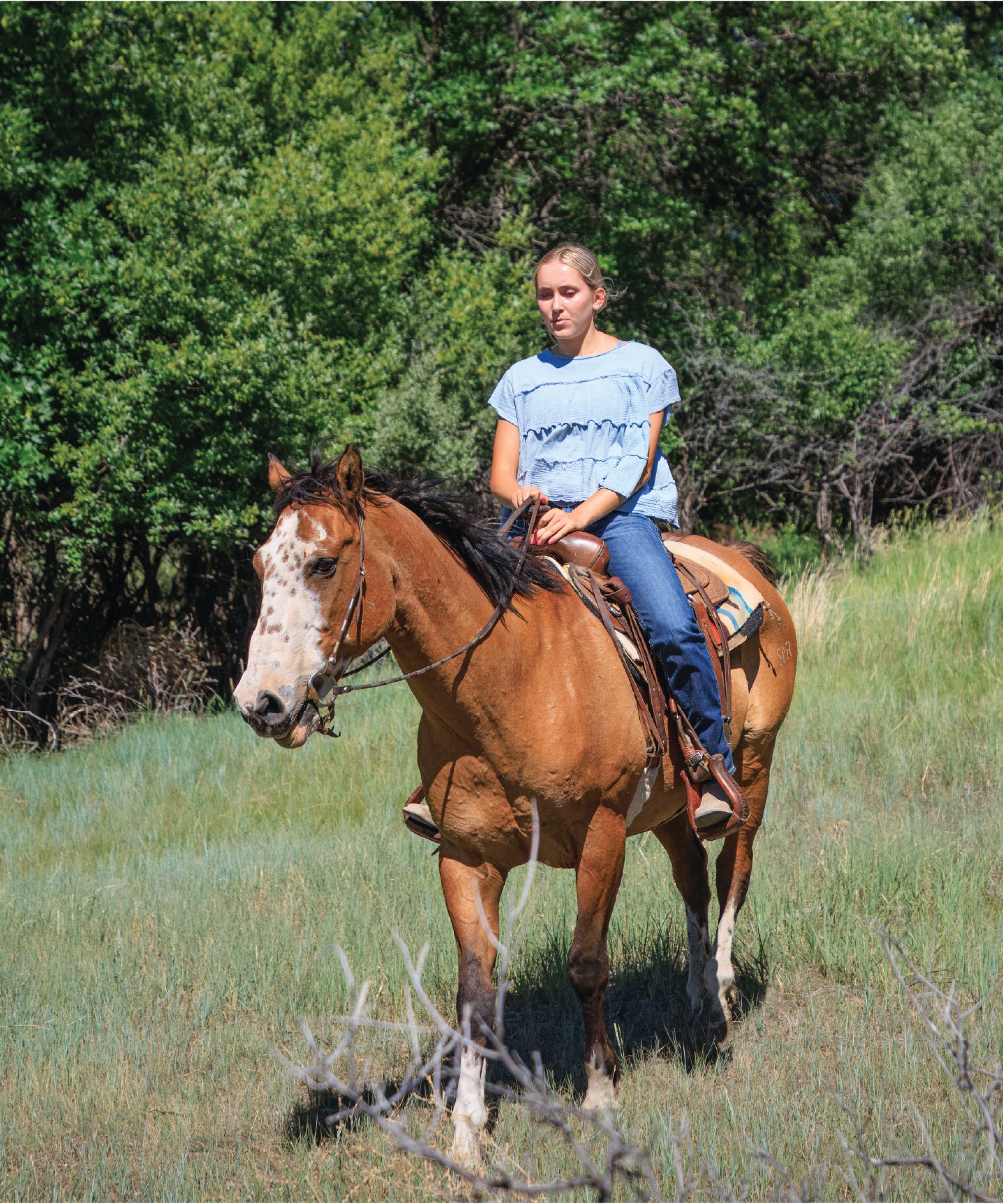 Person riding a brown horse in a grassy field with trees in the background
