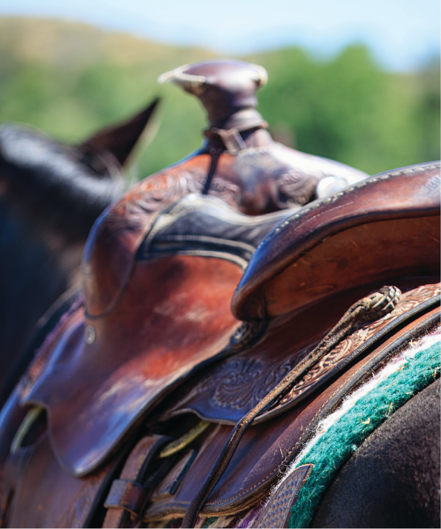 Close-up of a colorful horse saddle with a blurred natural background