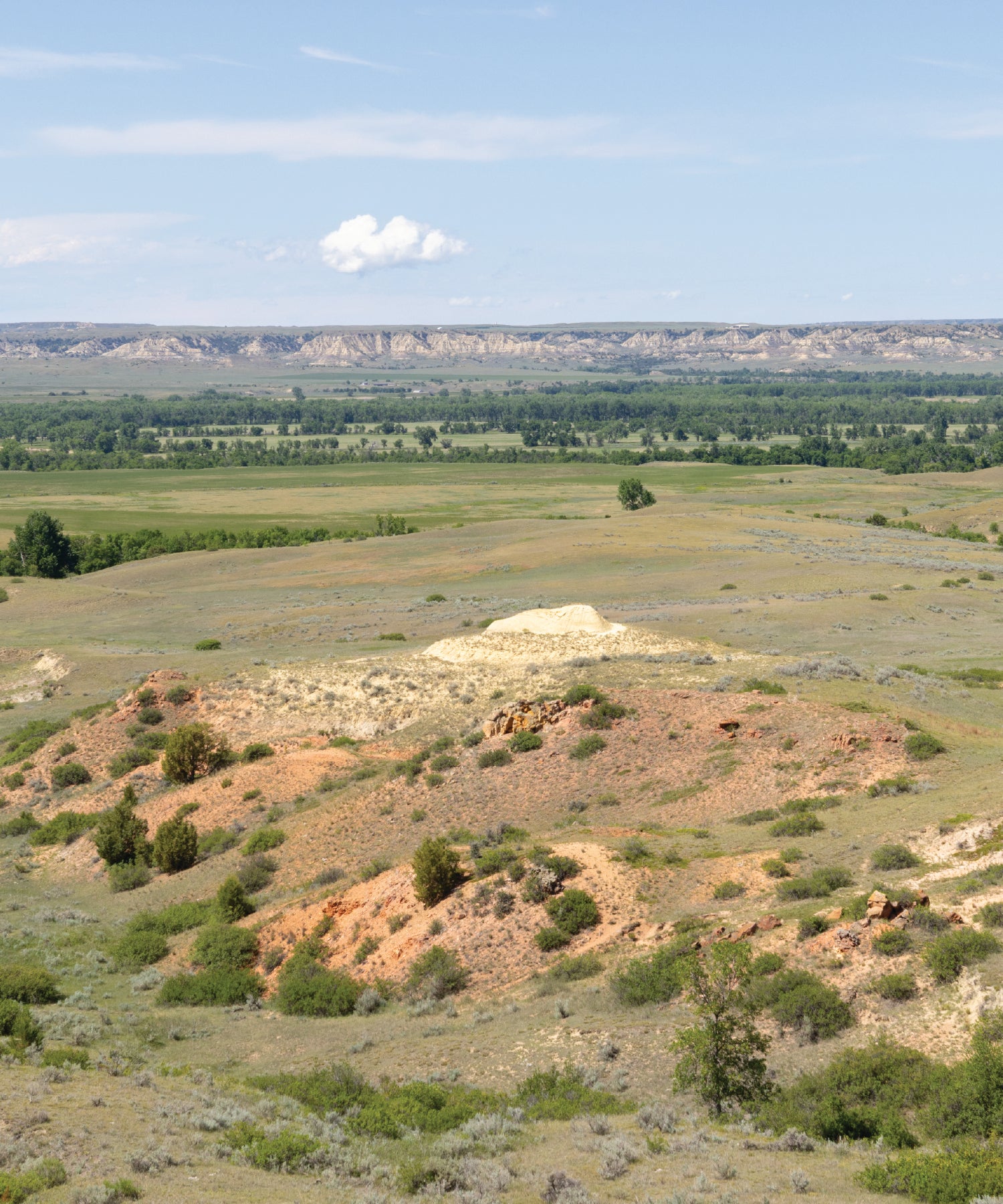 Scenic view of a grassy plain with hills and trees under a blue sky in eastern Montana