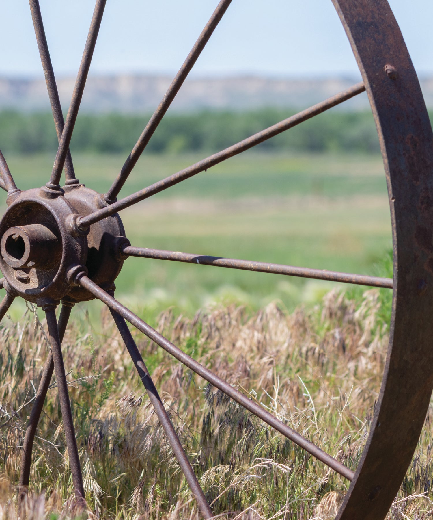 Rusty metal wheel in a field with green grass and blue sky