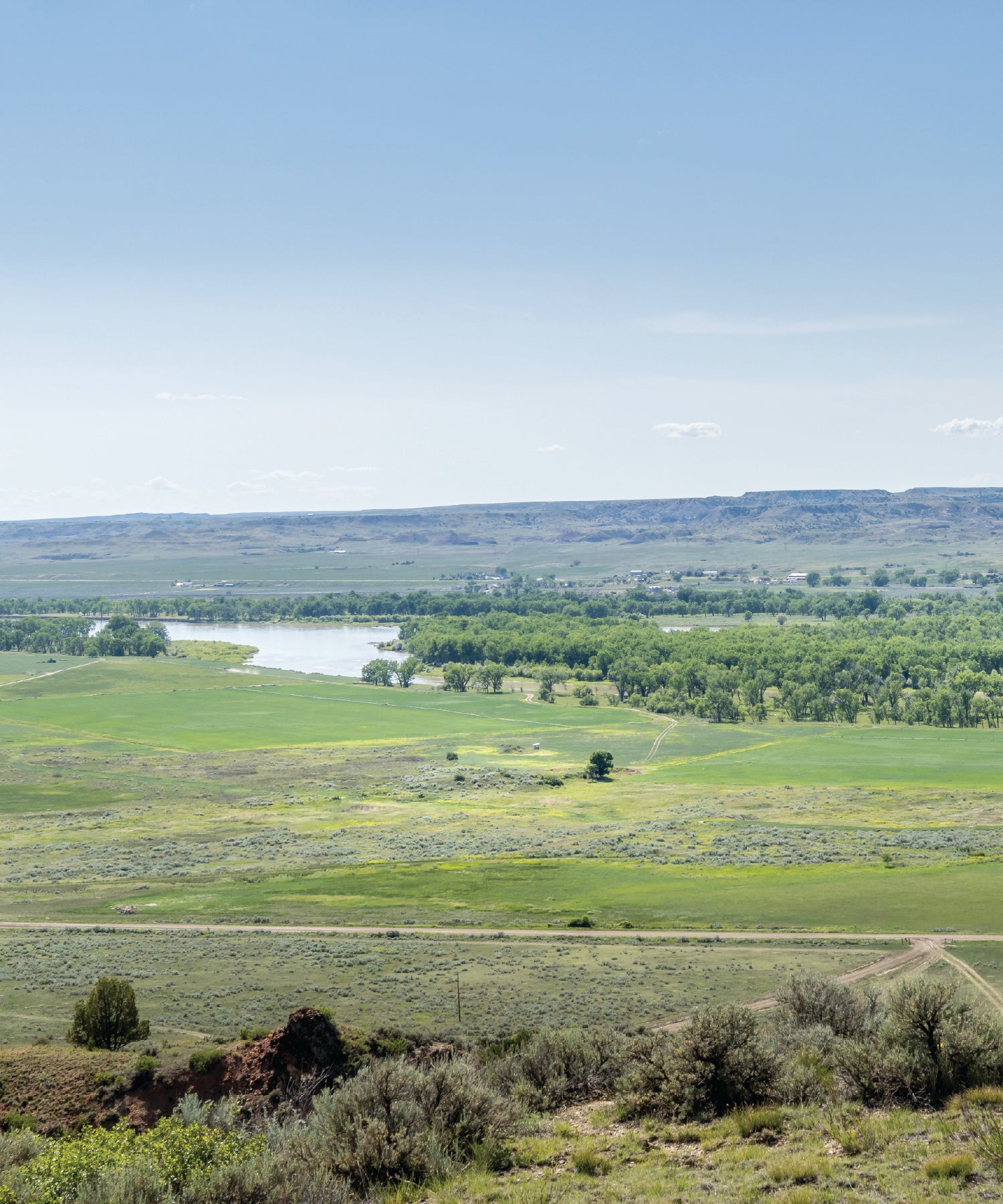 Green landscape with Yellowstone River and clear blue sky