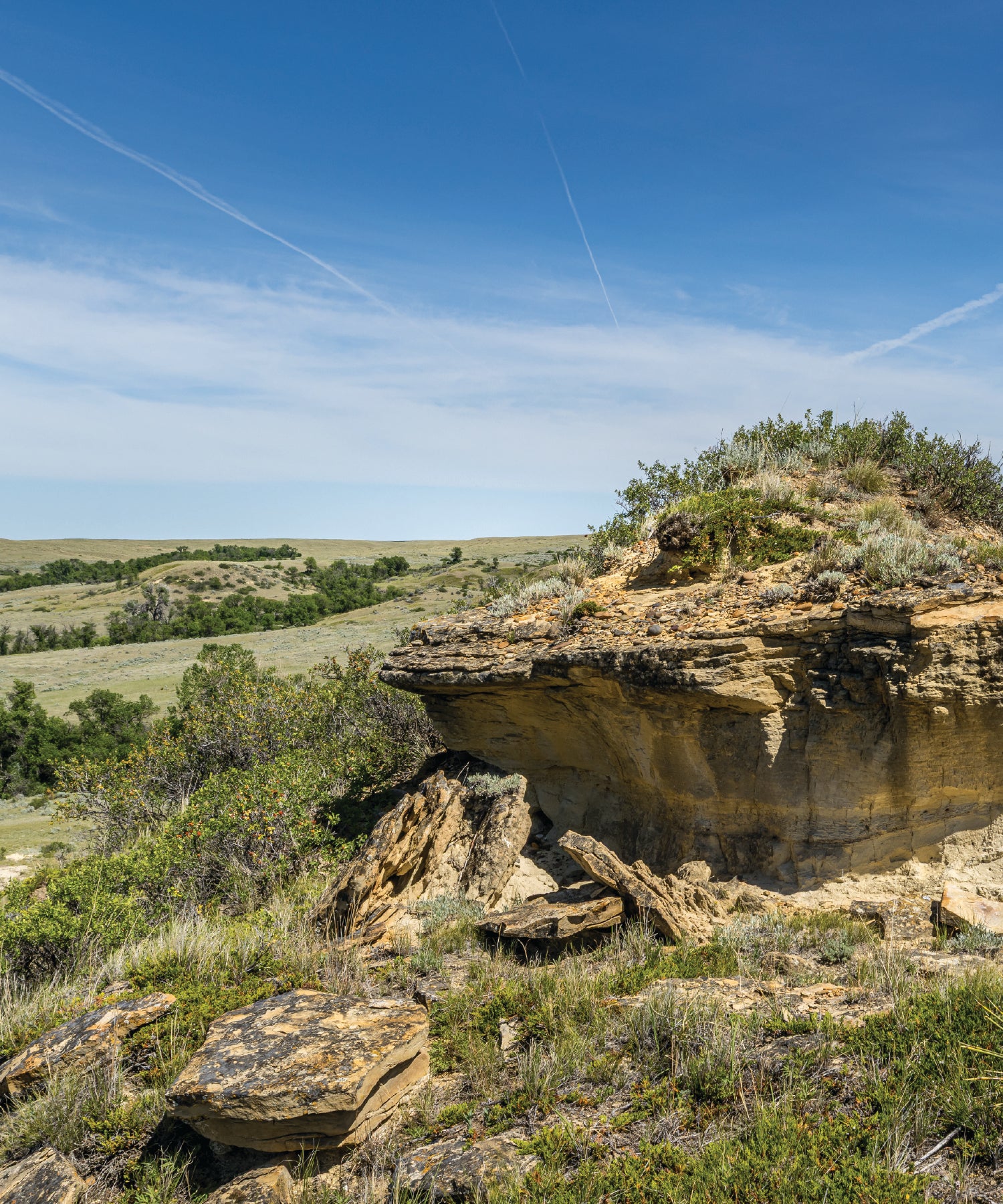 Rocky outcrop in eastern Montana with greenery against a blue sky
