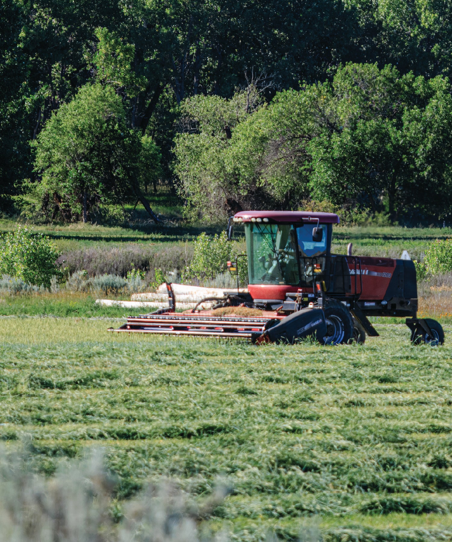 Tractor in a field with trees in the background