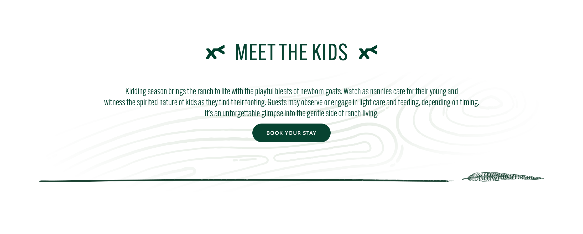 Text overlay on a white background with green accents, featuring the phrase 'Meet the Kids' and additional text.