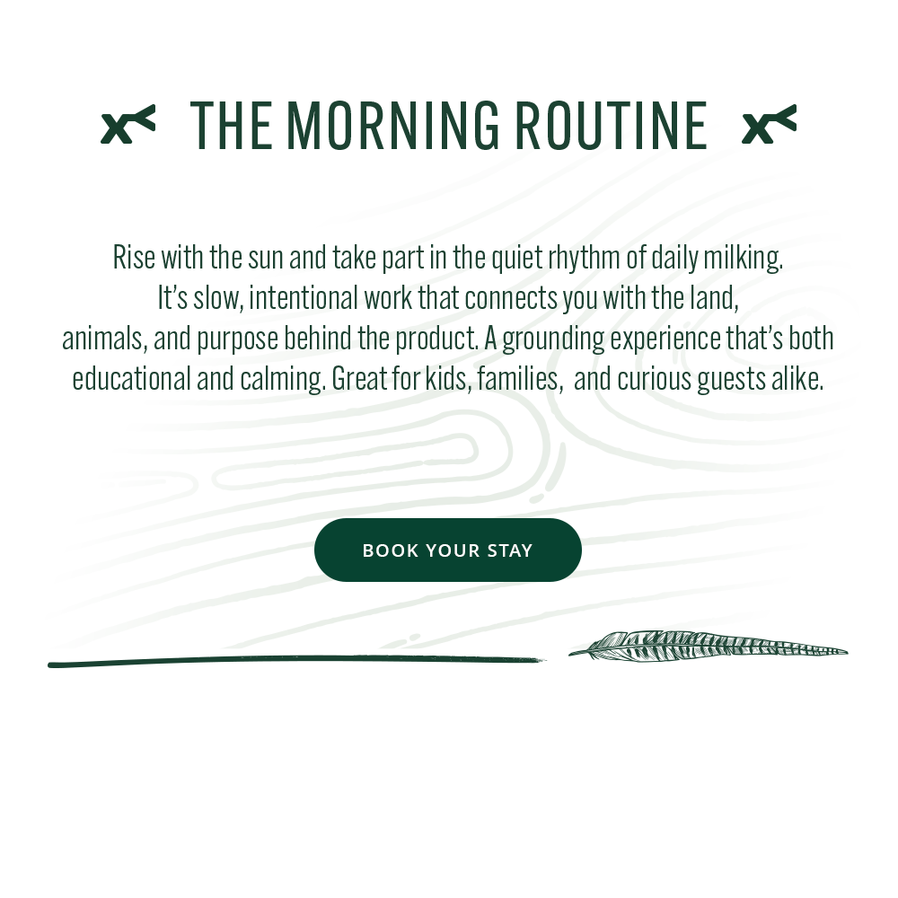 Text about a morning routine with a call to action to book a stay.