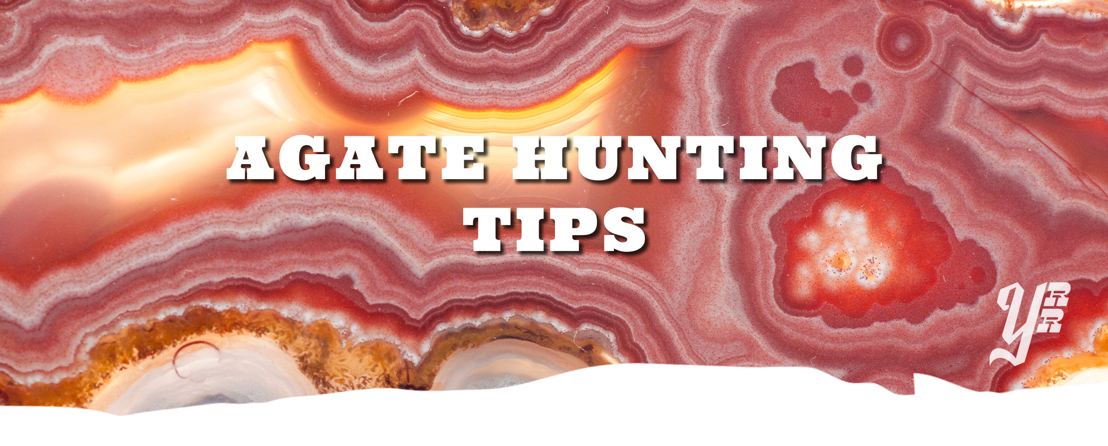 Red and yellow agate up-close with text overlay 'Agate Hunting Tips' on a white background