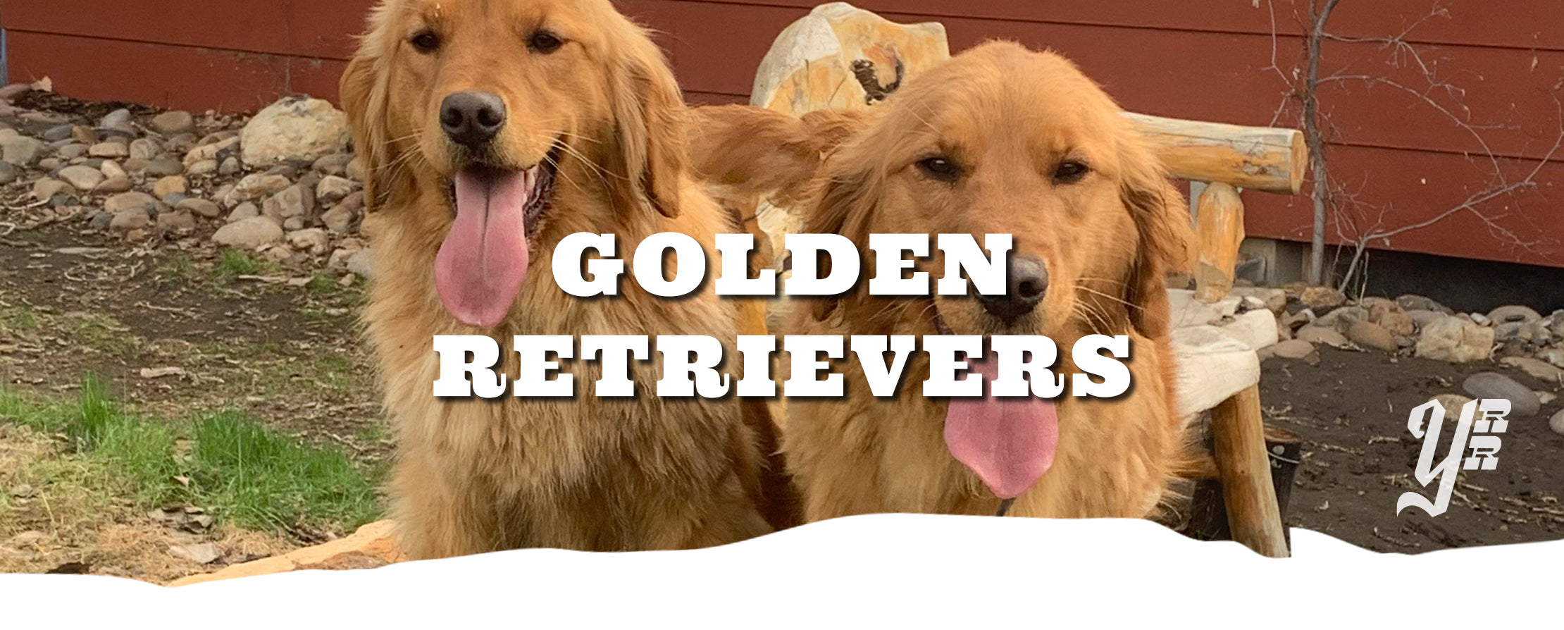 Two golden retrievers sitting on a log with 'GOLDEN RETRIEVERS' text overlay.