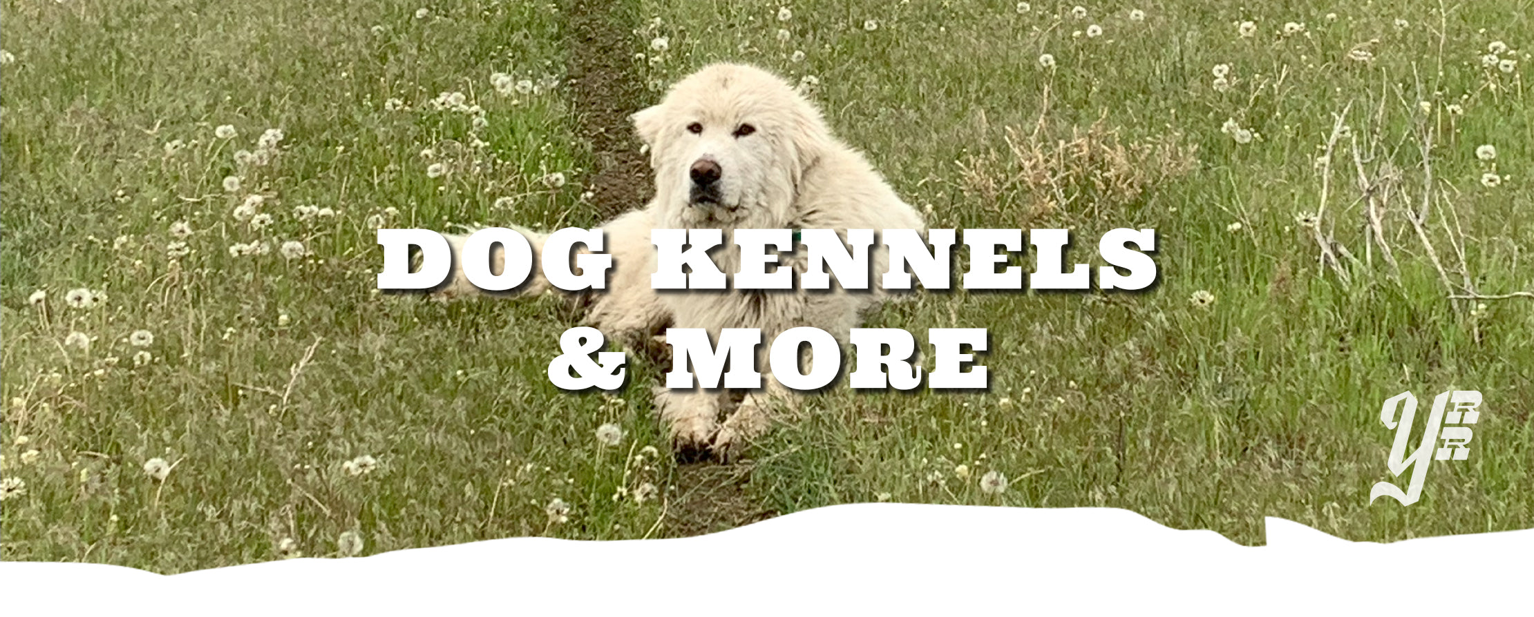 Dog sitting in a grassy field with 'Dog Kennels & More' text overlay.