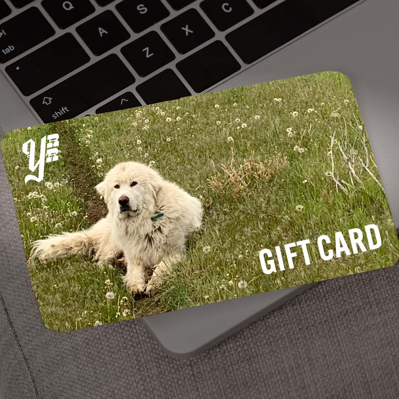 Gift card with a dog in a field sitting on a laptop keyboard