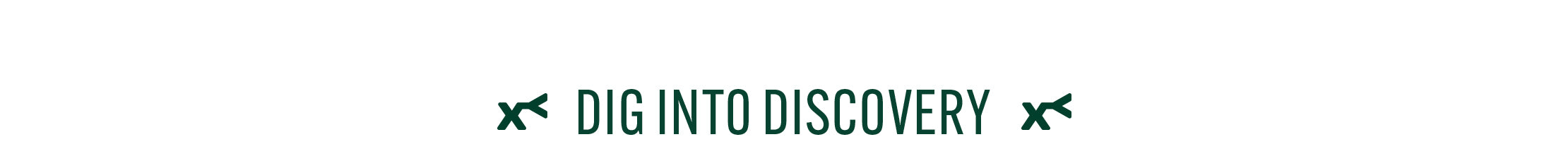 text 'dig into discovery' 